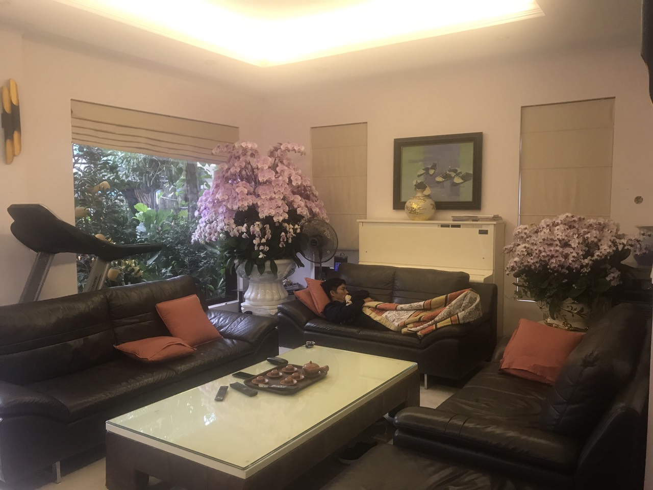 Bán biệt thự ciputra dãy D5 loại 285 m2 sân vườn liên hệ ngay 3
