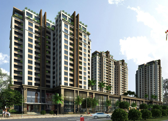 Tổng quan dự án